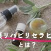 介護リハビリセラピストとは？資格の需要と取得後の活かし方を解説